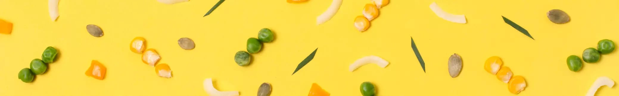 Mittags-Angebote placeholder